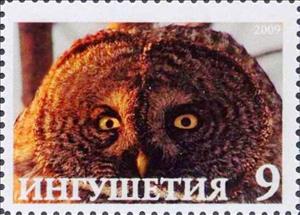 Stamp, Owl, Cinderellas,  , Animals (Fauna), Birds, Birds of Prey, Owls