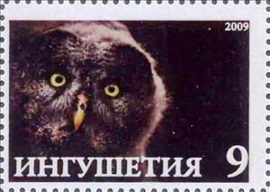 Stamp, Owl, Cinderellas,  , Animals (Fauna), Birds, Birds of Prey, Owls