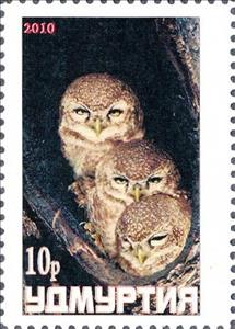 Stamp, Owl, Cinderellas,  , Animals (Fauna), Birds, Birds of Prey, Owls