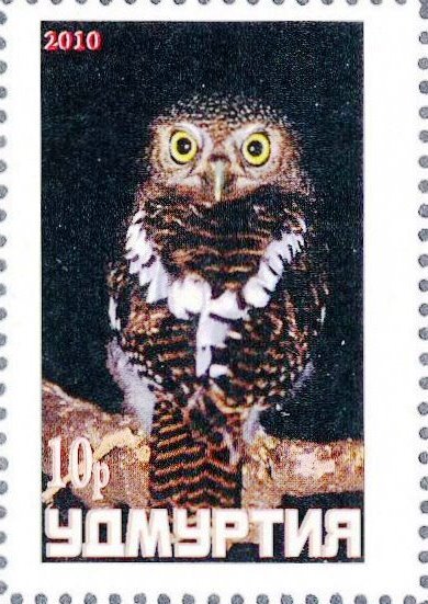 Owl