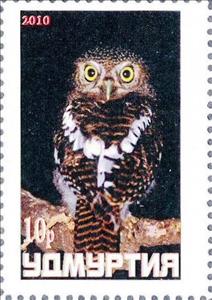 Stamp, Owl, Cinderellas,  , Animals (Fauna), Birds, Birds of Prey, Owls