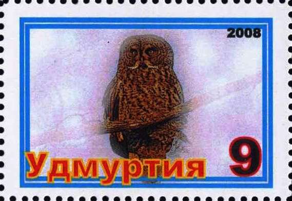 Owl