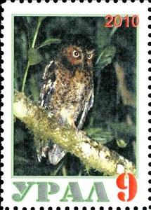 Stamp, Owl, Cinderellas,  , Animals (Fauna), Birds, Birds of Prey, Owls