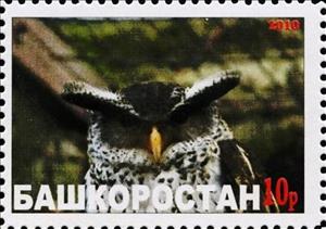 Stamp, Owl, Cinderellas,  , Animals (Fauna), Birds, Birds of Prey, Owls