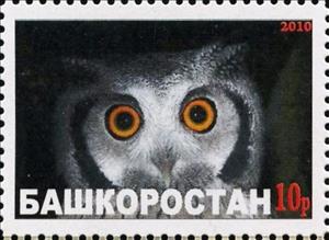 Stamp, Owl, Cinderellas,  , Animals (Fauna), Birds, Birds of Prey, Owls