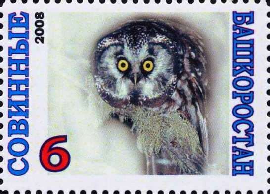 Owl