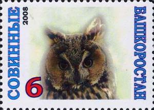 Stamp, Owl, Cinderellas,  , Animals (Fauna), Birds, Birds of Prey, Owls