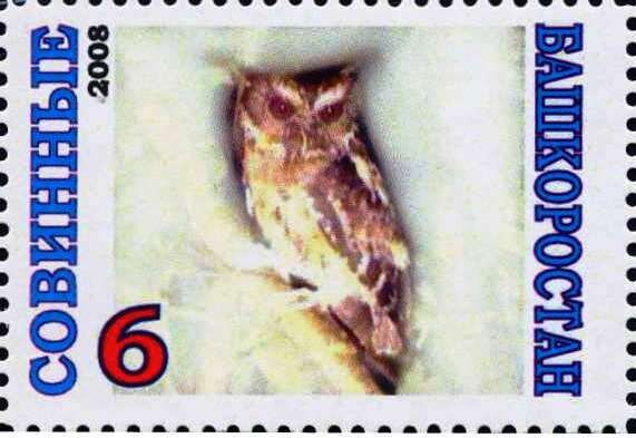 Owl