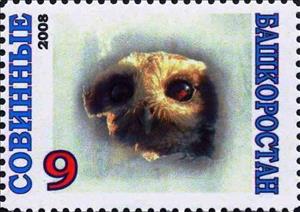 Stamp, Owl, Cinderellas,  , Animals (Fauna), Birds, Birds of Prey, Owls