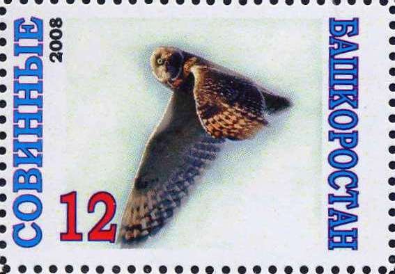 Owl