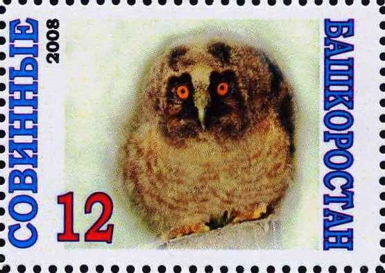Owl