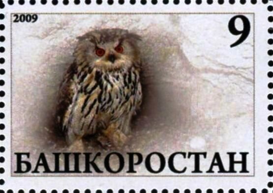 Owl