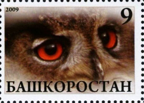 Owl