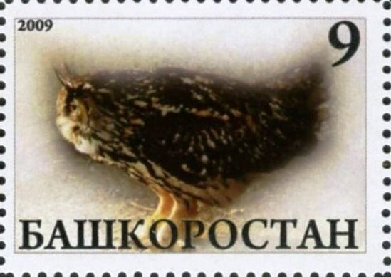 Owl