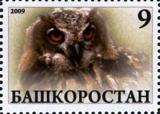 Owl