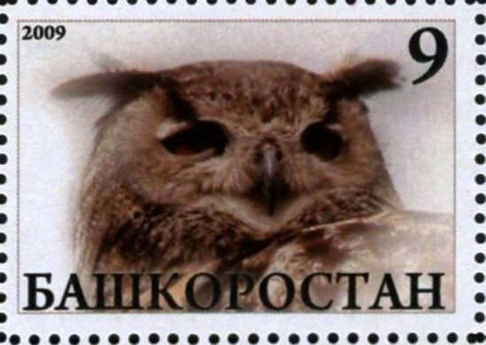 Owl