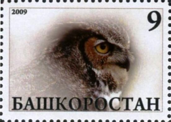 Owl