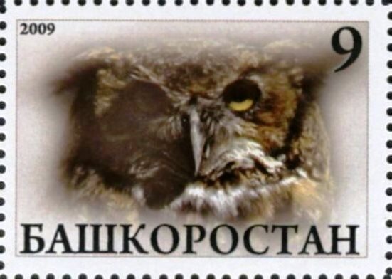 Owl