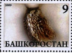 Stamp, Owl, Cinderellas,  , Animals (Fauna), Birds, Birds of Prey, Owls