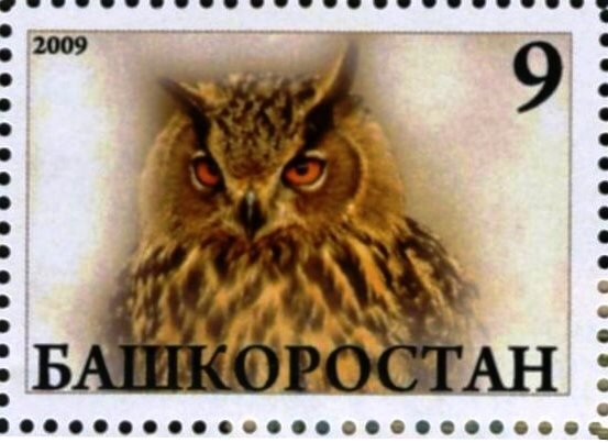 Owl