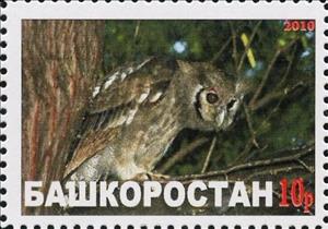 Stamp, Owl, Cinderellas,  , Animals (Fauna), Birds, Birds of Prey, Owls