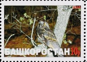 Stamp, Owl, Cinderellas,  , Animals (Fauna), Birds, Birds of Prey, Owls