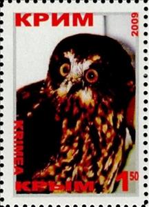 Stamp, Owl, Cinderellas,  , Animals (Fauna), Birds, Birds of Prey, Owls