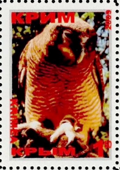 Owl
