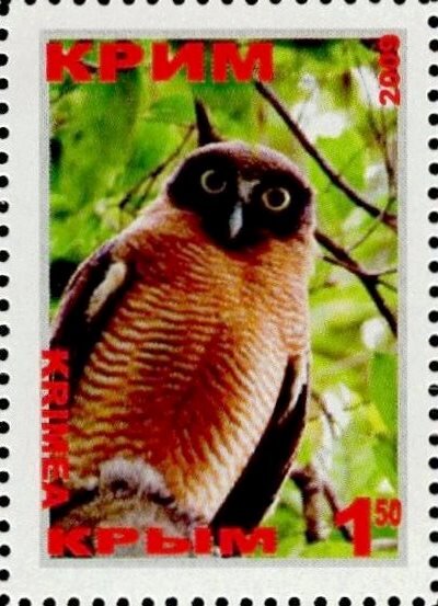 Owl