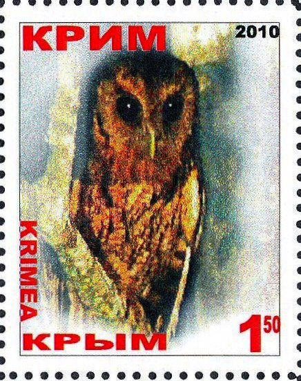 Owl