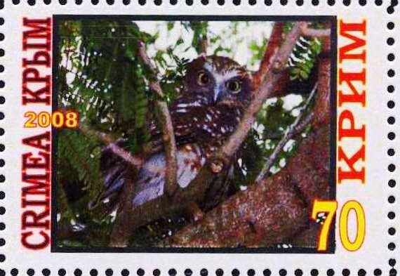 Owl