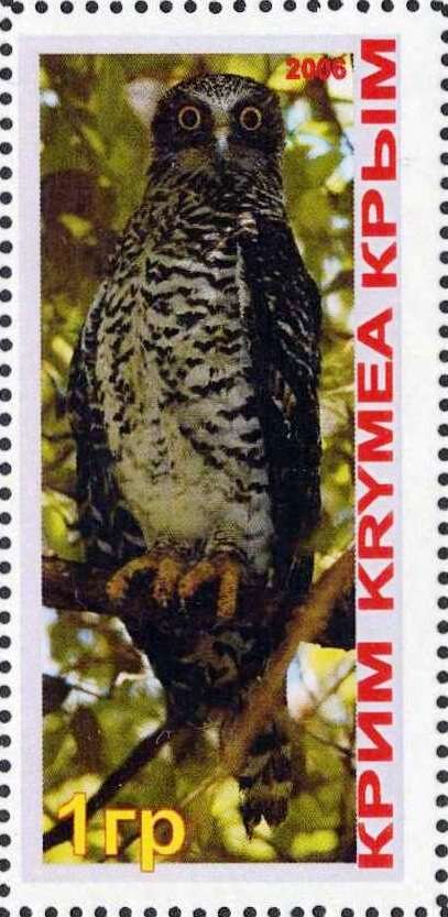 Owl