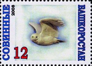 Stamp, Owl, Cinderellas,  , Animals (Fauna), Birds, Birds of Prey, Owls