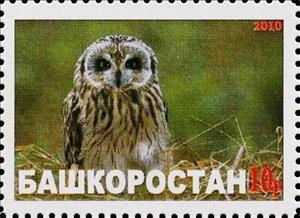 Stamp, Owl, Cinderellas,  , Animals (Fauna), Birds, Birds of Prey, Owls