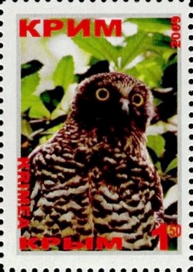 Owl