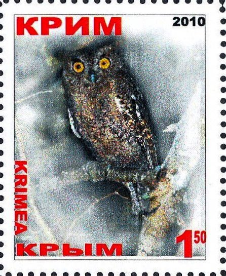 Owl