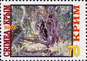 Stamp, Owl, Cinderellas,  , Animals (Fauna), Birds, Birds of Prey, Owls