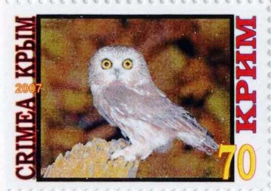 Owl