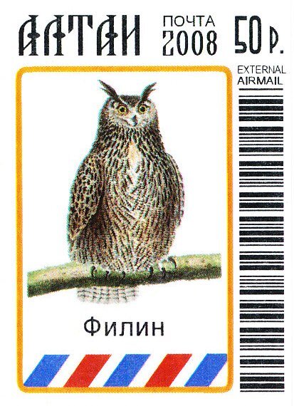 Owls