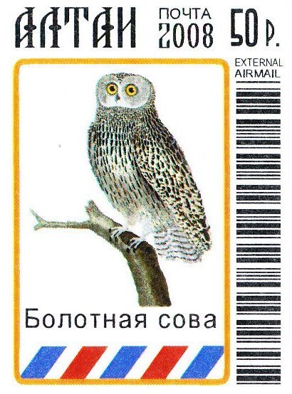 Owls