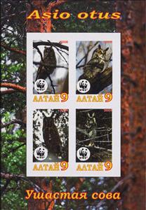 Mini Sheet, Owls, Cinderellas,  , Animals (Fauna), Birds, Owls