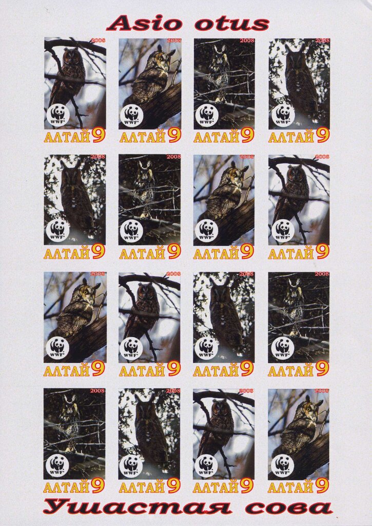 Owls
