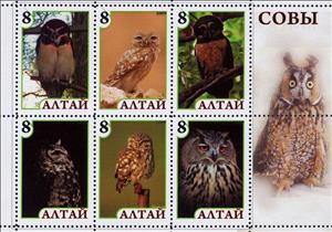 Mini Sheet, Owls, Cinderellas,  , Animals (Fauna), Birds, Owls