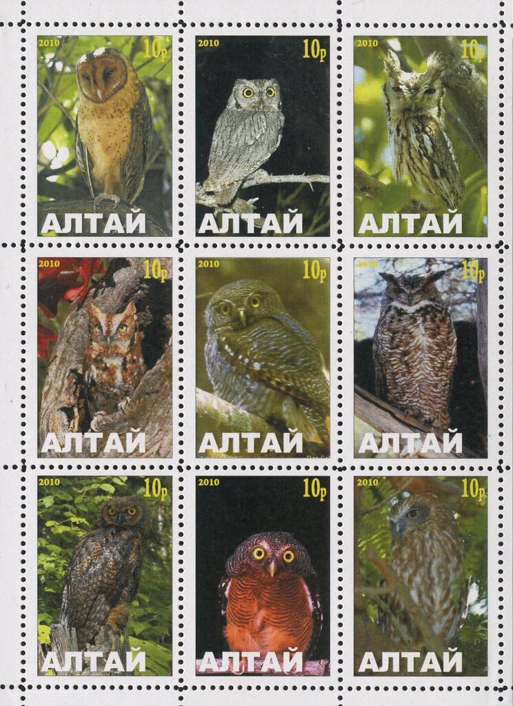 Owls