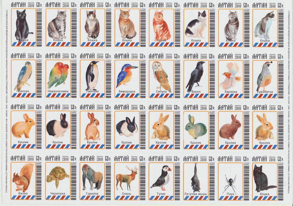 Owls
