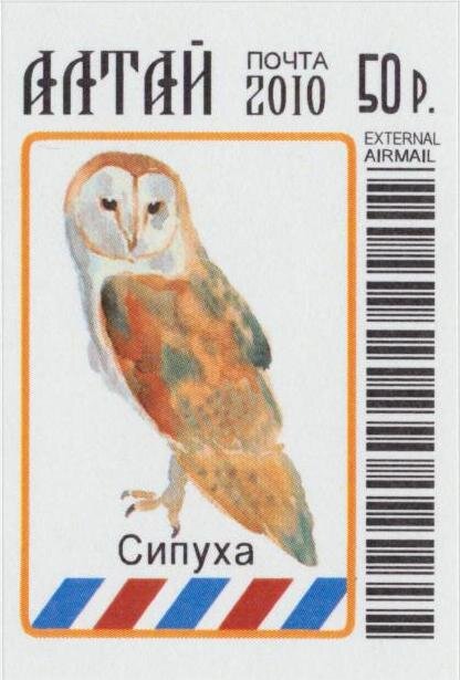 Owls