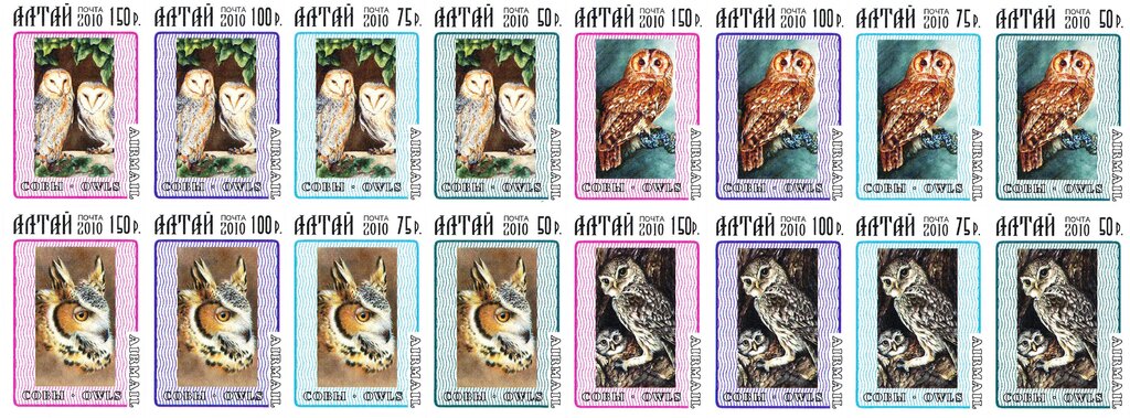 Owls