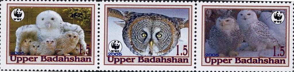 Owls