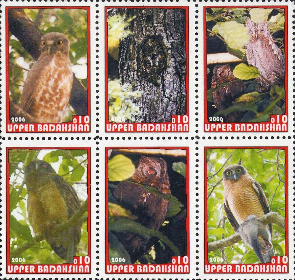 Owls