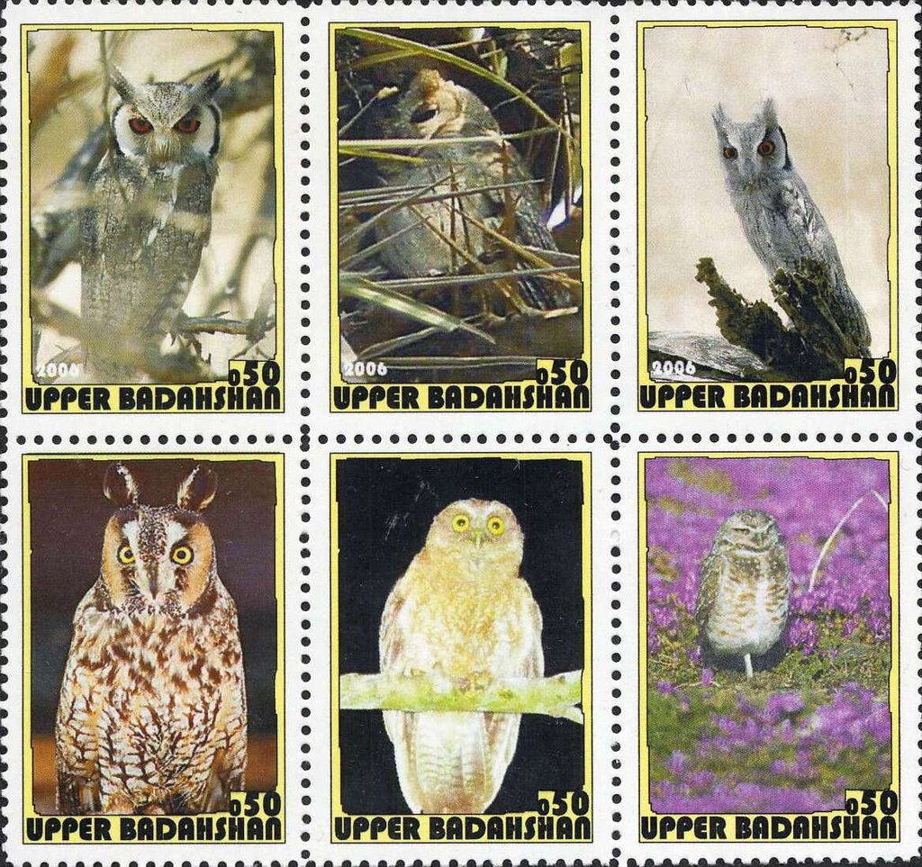 Owls